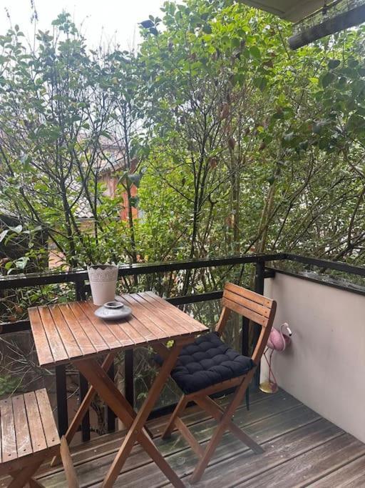 Jardin Des Plantes Parking Securise Terrasse Et Ascenseur Lejlighed Toulouse Eksteriør billede